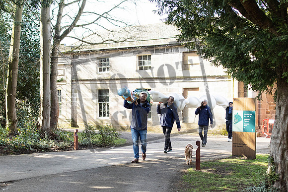 Wild in Art Edinburgh-142