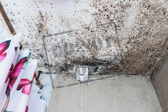 Shelter Brechin Mould-11