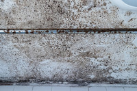 Shelter Brechin Mould-14
