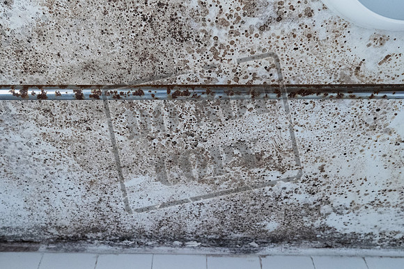 Shelter Brechin Mould-14