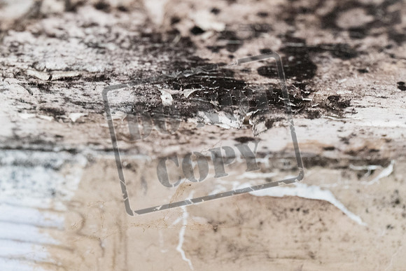 Shelter Brechin Mould-24