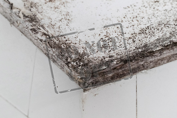 Shelter Brechin Mould-29