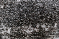 Shelter Brechin Mould-19