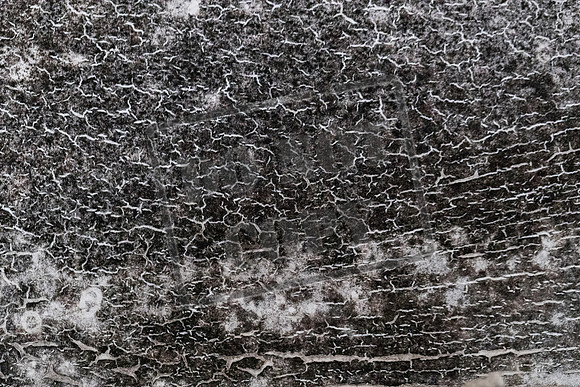 Shelter Brechin Mould-19