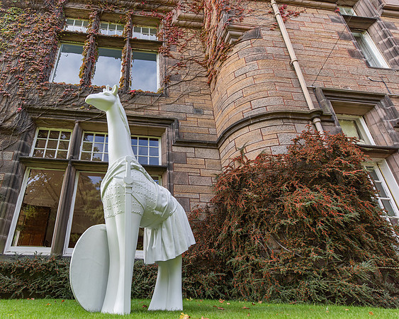 Gratitude Edinburgh-Wild In Art-140