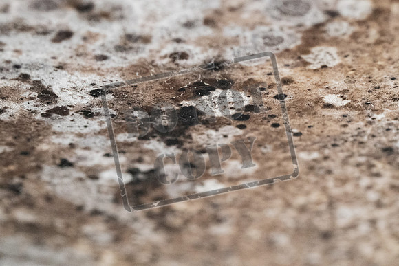 Shelter Brechin Mould-22