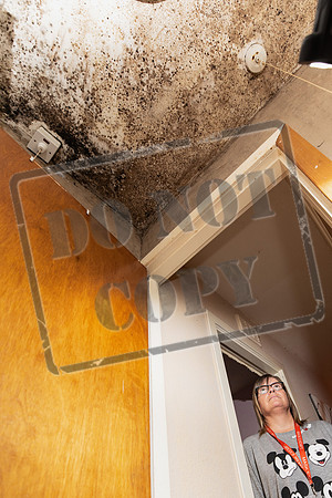 Shelter Brechin Mould-66