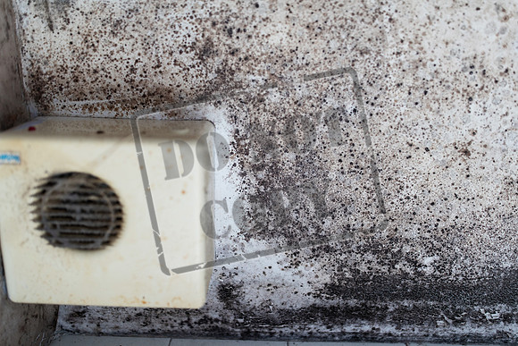 Shelter Brechin Mould-6