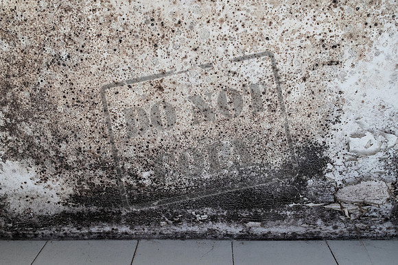 Shelter Brechin Mould-3