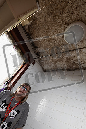 Shelter Brechin Mould-58