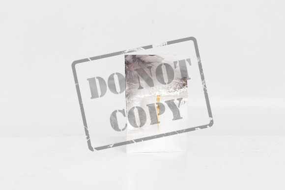 Dundee Photography Studio Rebecca DOJ ALL-19