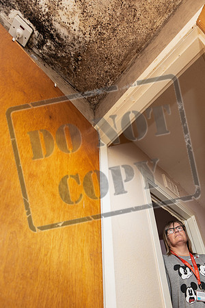 Shelter Brechin Mould-65