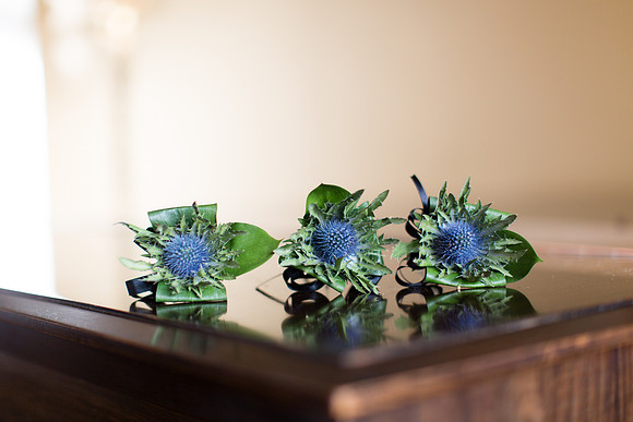 Chris Scott Photography at Errol Park Wedding.