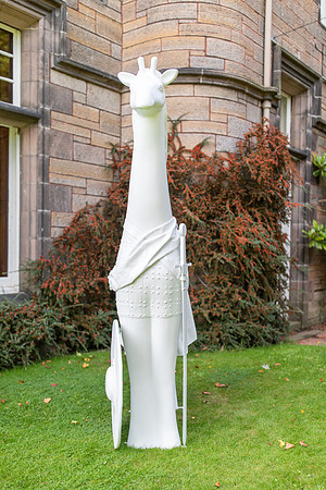 Gratitude Edinburgh-Wild In Art-137