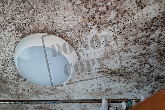Shelter Brechin Mould
