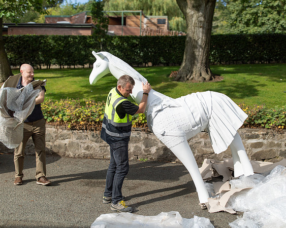 Gratitude Edinburgh-Wild In Art-132