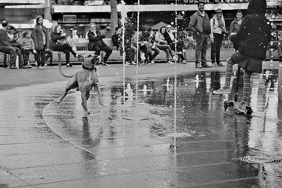 Chris Scott Street and Portrait Photography Broughty Ferry Dundee