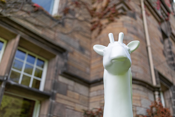 Gratitude Edinburgh-Wild In Art-139