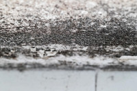 Shelter Brechin Mould-27