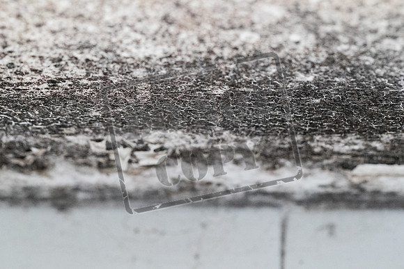 Shelter Brechin Mould-27