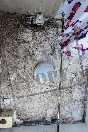 Shelter Brechin Mould-12