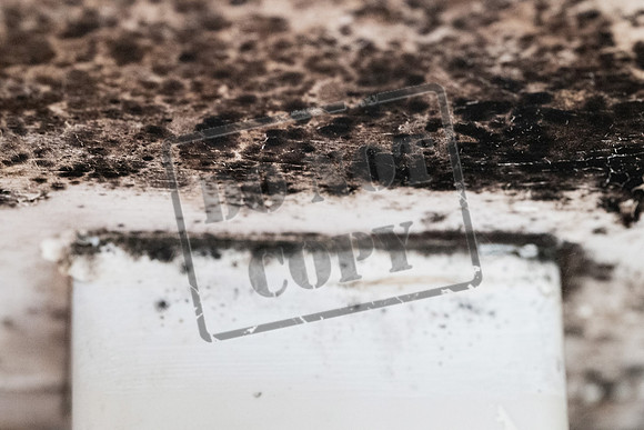 Shelter Brechin Mould-25