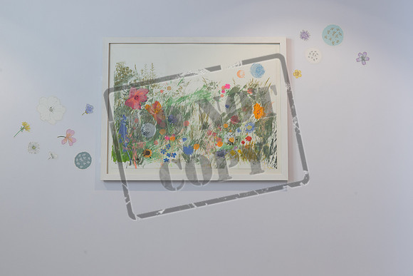 IMGL0856