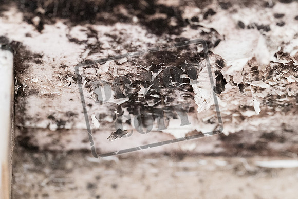 Shelter Brechin Mould-21