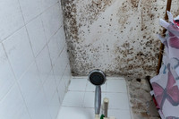 Shelter Brechin Mould-15