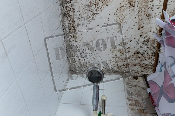 Shelter Brechin Mould-15