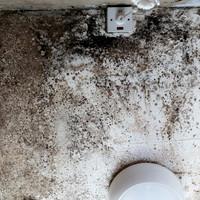 Shelter Brechin Mould-16