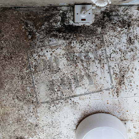 Shelter Brechin Mould-16