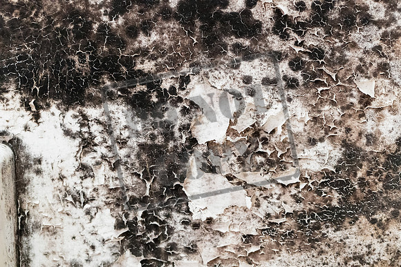 Shelter Brechin Mould-20
