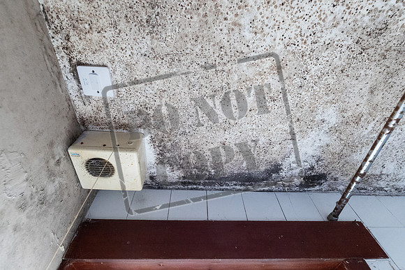 Shelter Brechin Mould-13