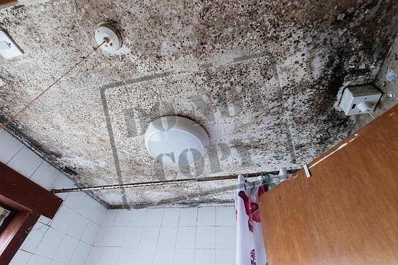 Shelter Brechin Mould-10
