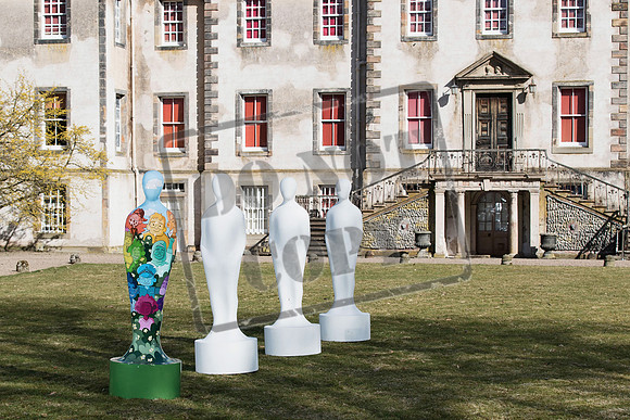 Wild in Art Edinburgh-23