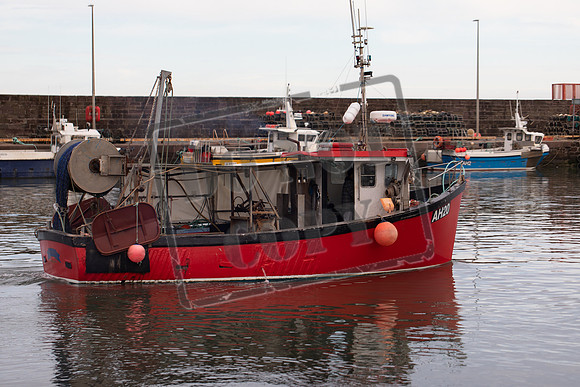 233A1439