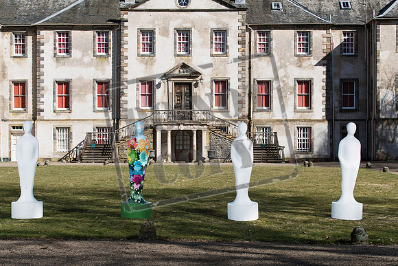 Wild in Art Edinburgh-15
