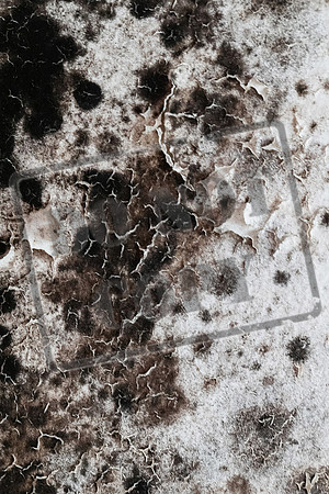 Shelter Brechin Mould-23
