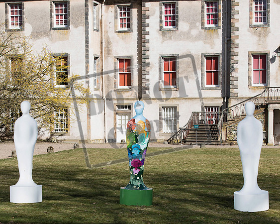 Wild in Art Edinburgh-18