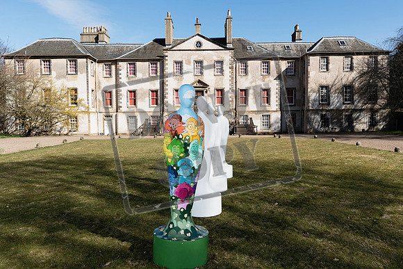 Wild in Art Edinburgh-27