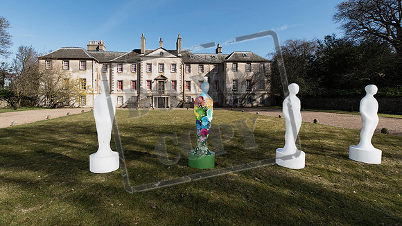 Wild in Art Edinburgh-8