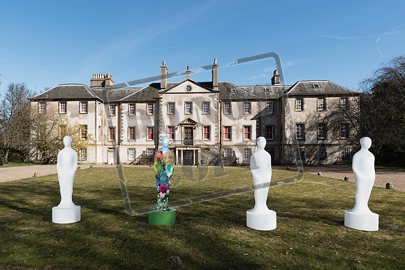 Wild in Art Edinburgh