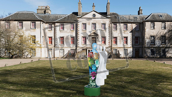 Wild in Art Edinburgh-26