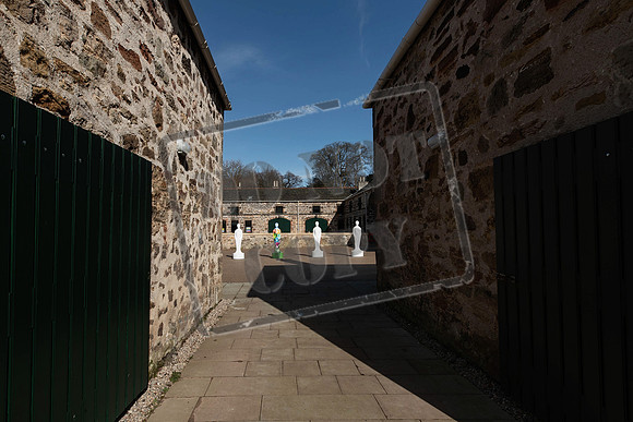 Wild in Art Edinburgh-116