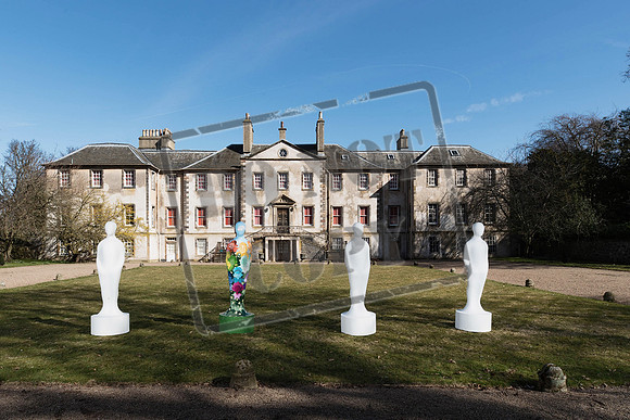 Wild in Art Edinburgh-2