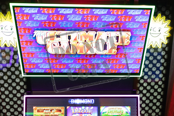 IMGL8741